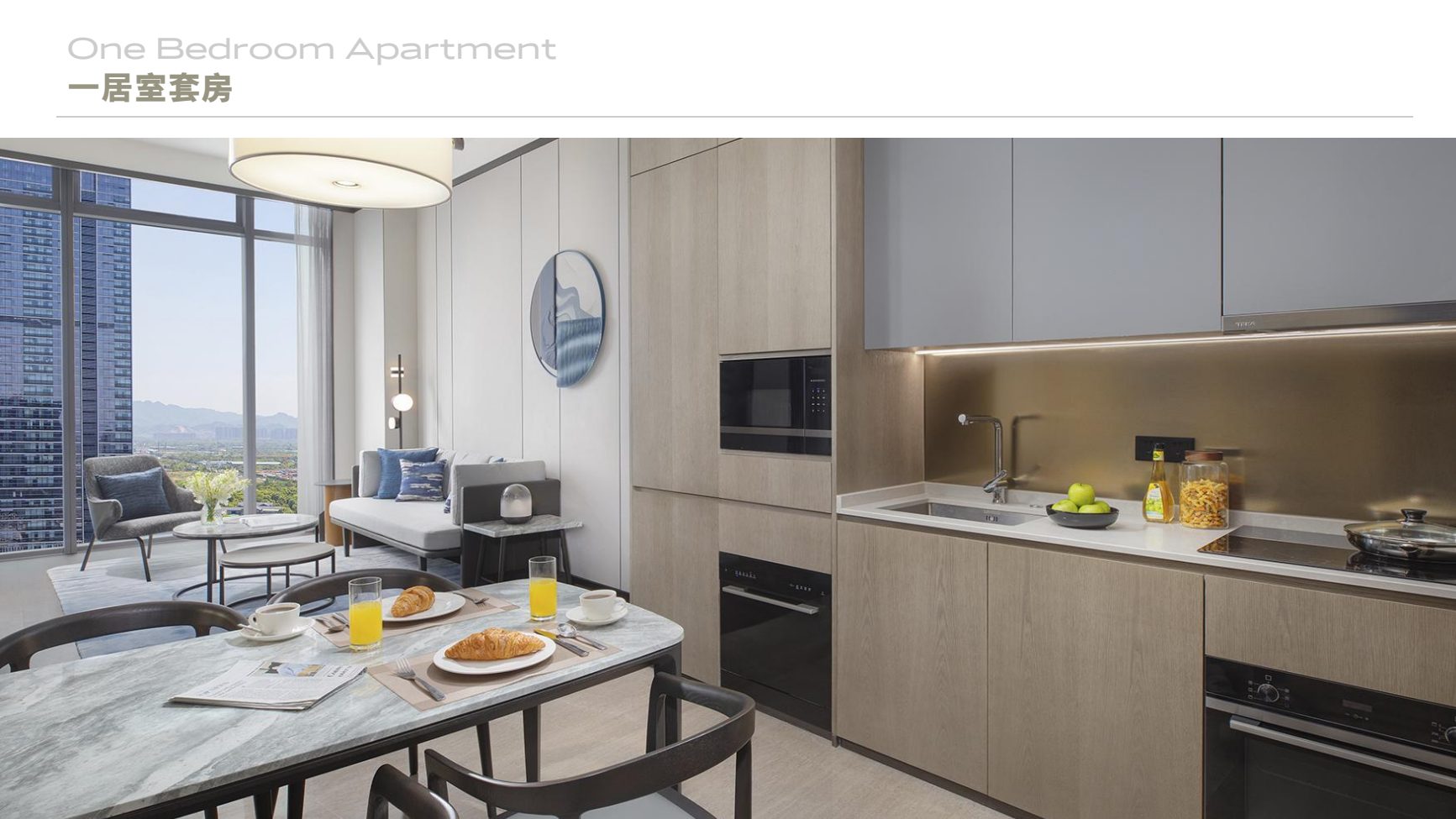 One Bedroom Apartment 70㎡